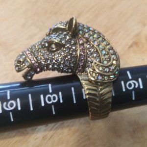 Heidi Daus horse ring